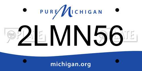 2LMN56 Michigan License Plate