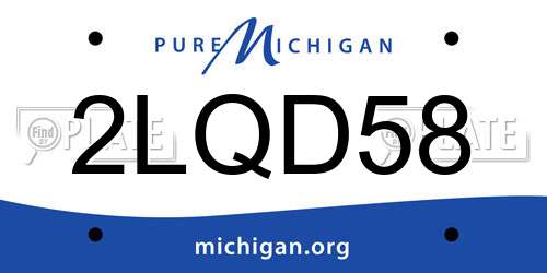 2LQD58 Michigan License Plate