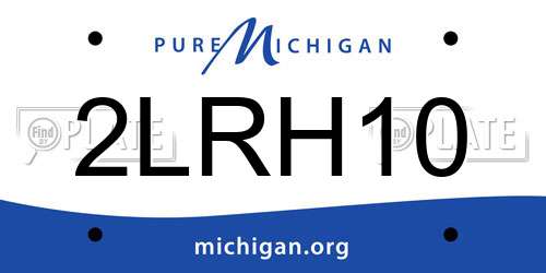 2LRH10 Michigan License Plate