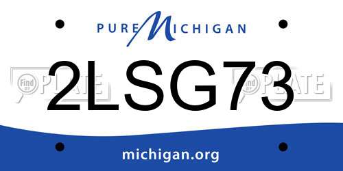 2LSG73 Michigan License Plate