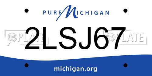 2LSJ67 Michigan License Plate