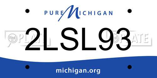 2LSL93 Michigan License Plate