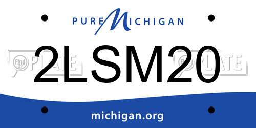 2LSM20 Michigan License Plate