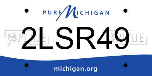2LSR49 Michigan License Plate
