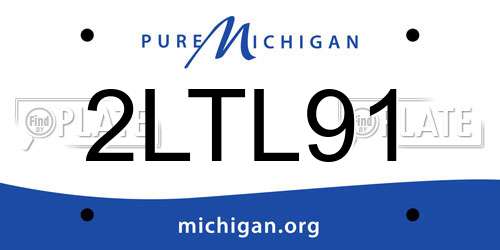 2LTL91 Michigan License Plate
