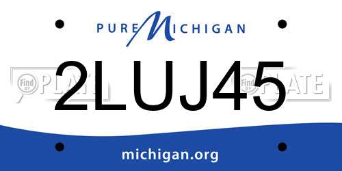 2LUJ45 Michigan License Plate