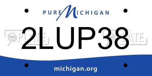 2LUP38 Michigan License Plate