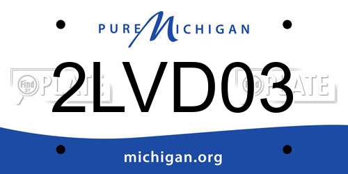 2LVD03 Michigan License Plate