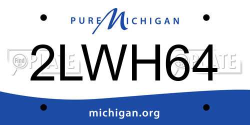 2LWH64 Michigan License Plate