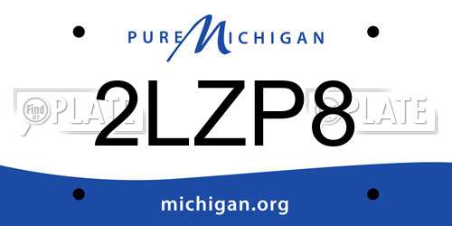 2LZP8 Michigan License Plate