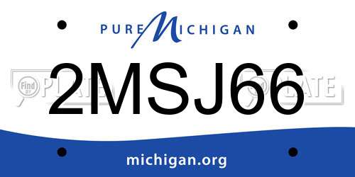 2MSJ66 Michigan License Plate