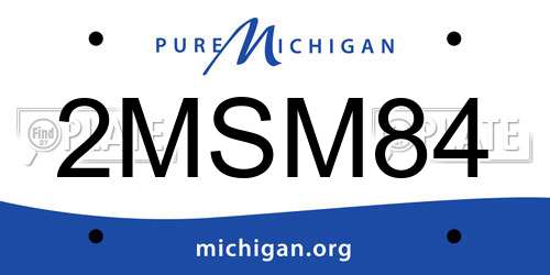 2MSM84 Michigan License Plate