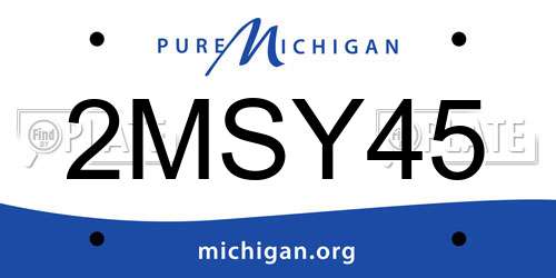 2MSY45 Michigan License Plate