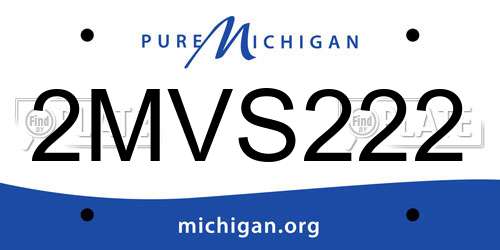 2MVS222 Michigan License Plate