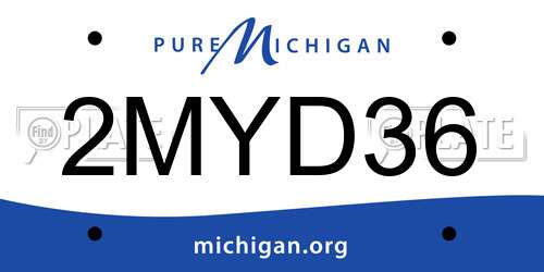 2MYD36 Michigan License Plate