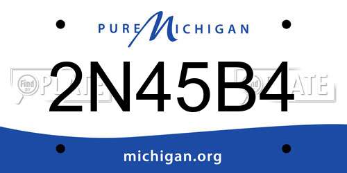 2N45B4 Michigan License Plate