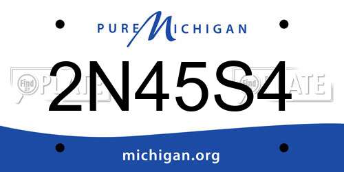 2N45S4 Michigan License Plate
