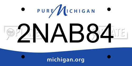2NAB84 Michigan License Plate
