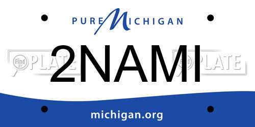2NAMI Michigan License Plate