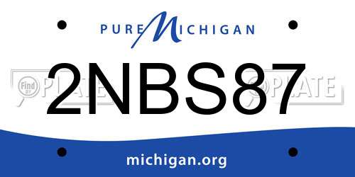 2NBS87 Michigan License Plate