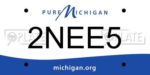 2NEE5 Michigan License Plate