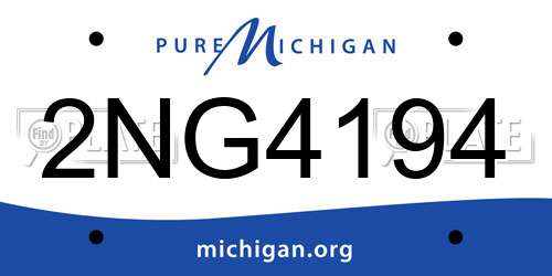 2NG4194 Michigan License Plate