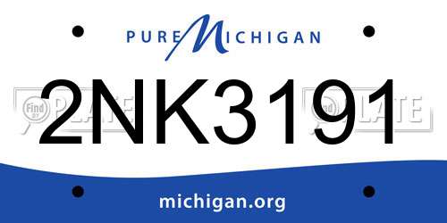 2NK3191 Michigan License Plate