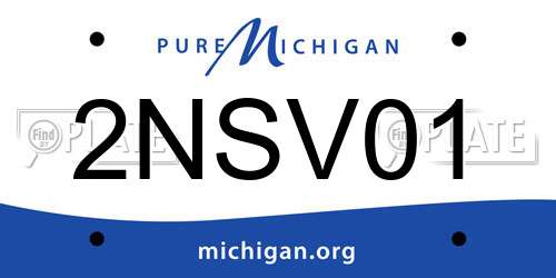 2NSV01 Michigan License Plate
