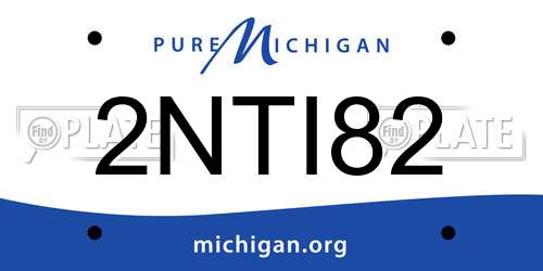2NTI82 Michigan License Plate