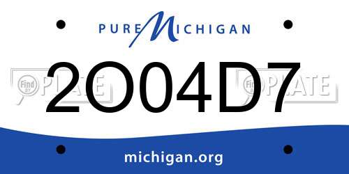 2O04D7 Michigan License Plate
