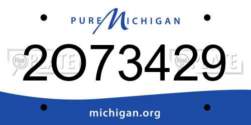 2O73429 Michigan License Plate