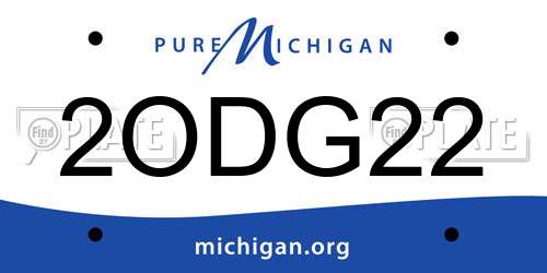 2ODG22 Michigan License Plate