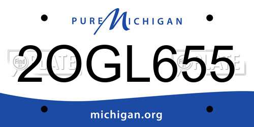2OGL655 Michigan License Plate