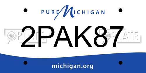 2PAK87 Michigan License Plate