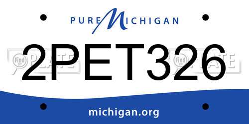 2PET326 Michigan License Plate