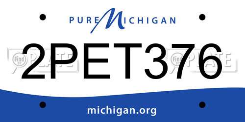 2PET376 Michigan License Plate