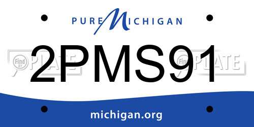 2PMS91 Michigan License Plate