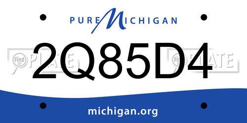 2Q85D4 Michigan License Plate
