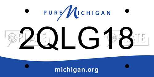2QLG18 Michigan License Plate