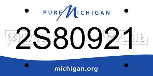 2S80921 Michigan License Plate