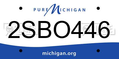 2SBO446 Michigan License Plate