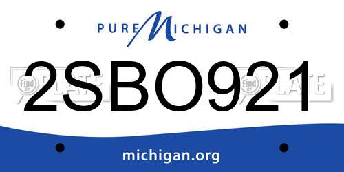 2SBO921 Michigan License Plate
