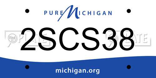 2SCS38 Michigan License Plate