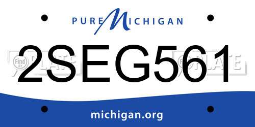 2SEG561 Michigan License Plate