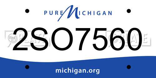 2SO7560 Michigan License Plate