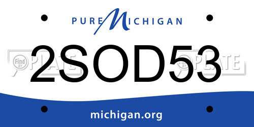 2SOD53 Michigan License Plate