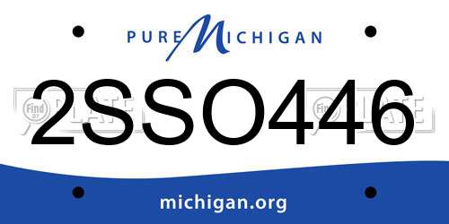 2SSO446 Michigan License Plate