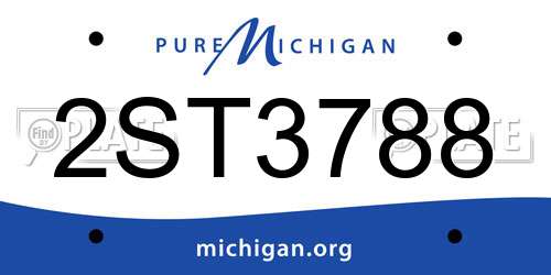 2ST3788 Michigan License Plate