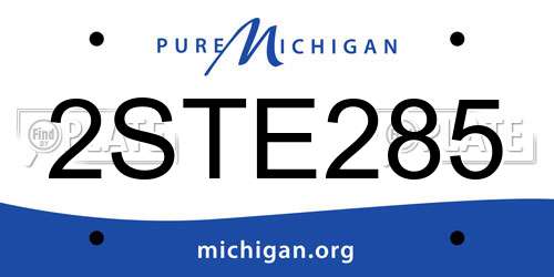 2STE285 Michigan License Plate