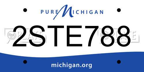 2STE788 Michigan License Plate